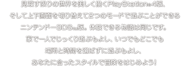 見渡す限りの世界を美しく描くPlayStation®4版、そして上下画面を切り替えて2つのモードで遊ぶことができるニンテンドー3DS™版。体験できる物語は同じです。家で一人でじっくり遊ぶもよし、いつでもどこでも場所と時間を選ばずに遊ぶもよし、あなたに合ったスタイルで冒険をはじめよう！