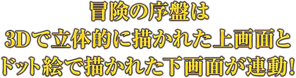 冒険の序盤は3Dで立体的に描かれた上画面とドット絵で描かれた下画面が連動！