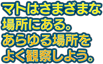 マトはさまざまな場所にある。あらゆる場所をよく観察しよう。