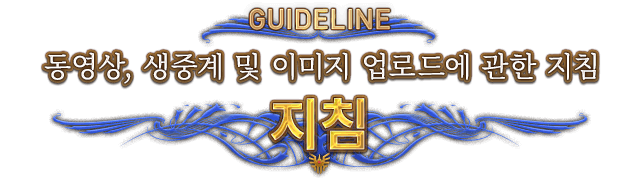 GUIDELINE 동영상, 생중계 및 이미지 업로드에 관한 지침