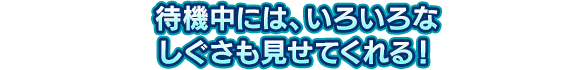 待機中には、いろいろなしぐさも見せてくれる！