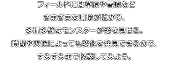 フィールドには草原や雪原などさまざまな環境が広がり、多種多様なモンスターが姿を見せる。時間や天候によっても変化を発見できるので、すみずみまで探索してみよう。