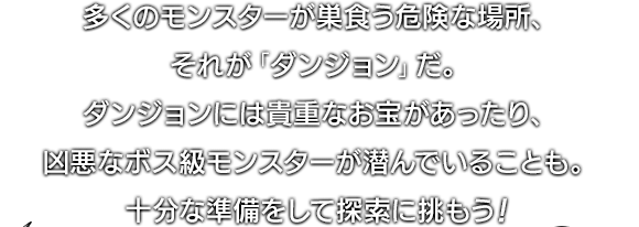 多くのモンスターが巣食う危険な場所、それが「ダンジョン」だ。ダンジョンには貴重なお宝があったり、凶悪なボス級モンスターが潜んでいることも。十分な準備をして探索に挑もう！