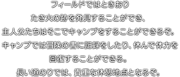 フィールドではときおりたき火の跡を発見することができ、主人公たちはそこでキャンプをすることができるぞ。キャンプでは冒険の書に記録をしたり、休んで体力を回復することができる。長い道のりでは、貴重な休憩地点となるぞ。