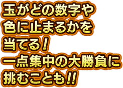 玉がどの数字や色に止まるかを当てる！一点集中の大勝負に挑むことも！！