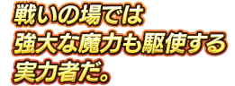 戦いの場では強大な魔力も駆使する実力者だ。